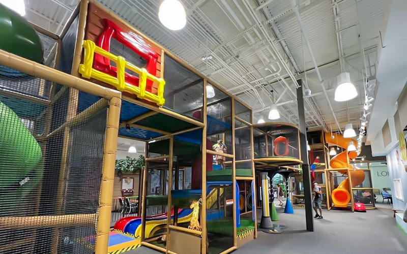 Indoor Jungle Gym Design Ideas