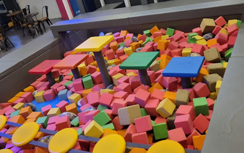 Find a Kids Indoor playground Franchise