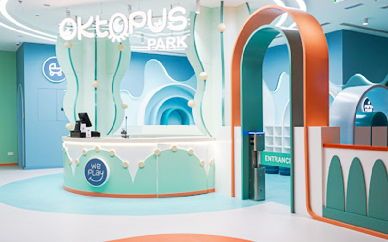 Indoor playroom equipment project in Japan