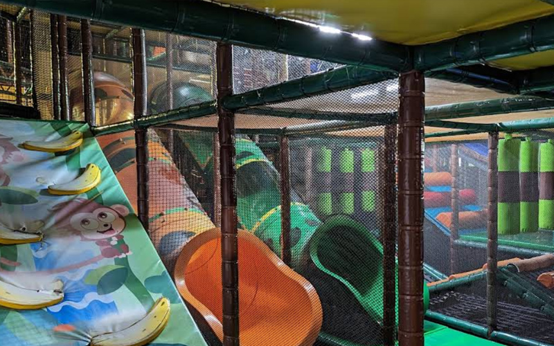 Indoor Playset for Toddlers with Ninja Course