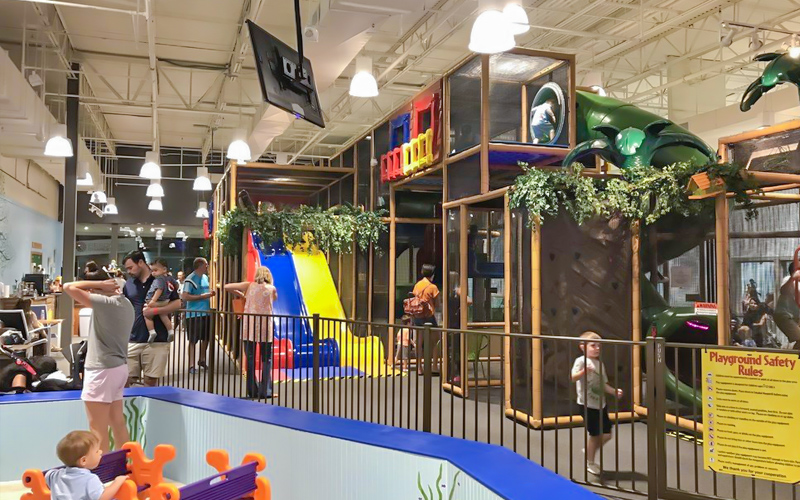 Indoor Jungle Gym Design Ideas
